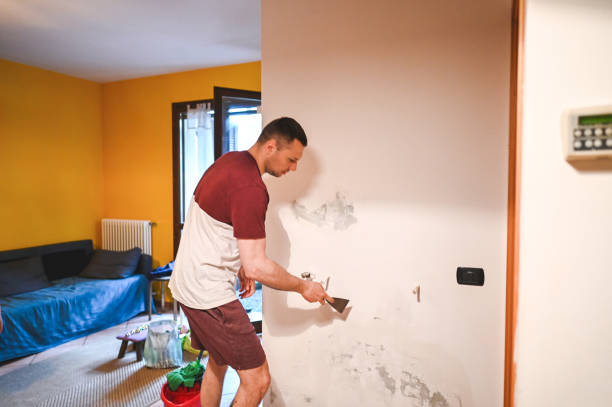 Best Best Mold Removal Companies  in Haltom City, TX