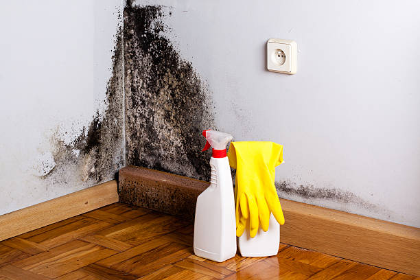Best Mold Testing  in Haltom City, TX